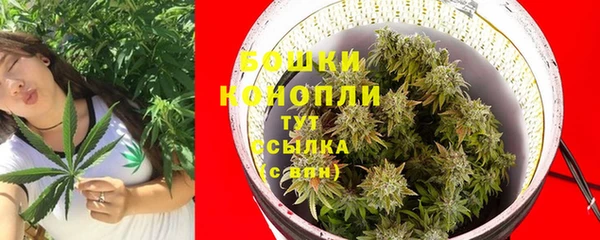 ГАЛЛЮЦИНОГЕННЫЕ ГРИБЫ Абдулино