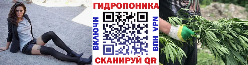 Бошки марихуана семена  наркотики  Абаза 